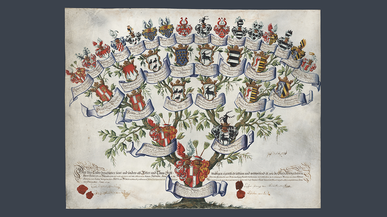 Aufschwörungstafel für Heinrich von Bünau  (öffnet Vergrößerung des Bildes)